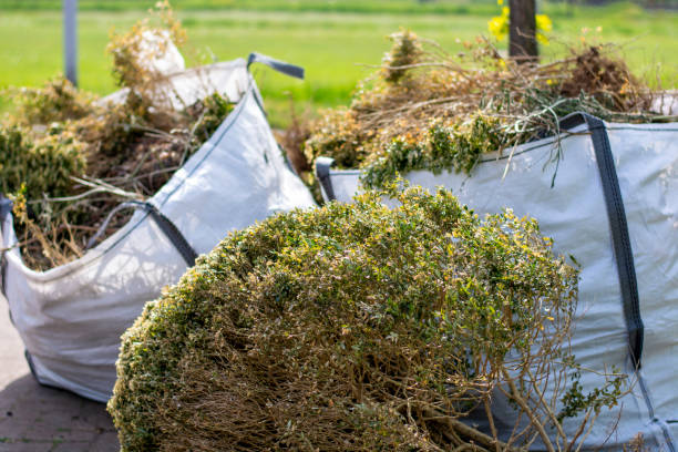 Best Basement Cleanout Services  in Arcadia, WI